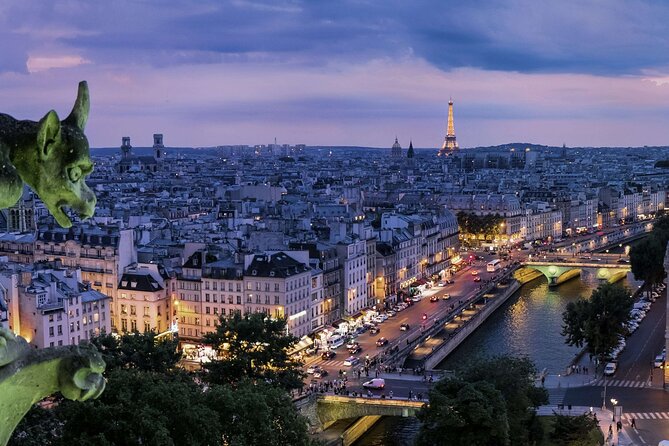 4 Hours Paris VIP Private Tour With Exclusive Guide & Driver Both - Important Reminders