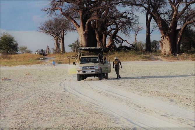 5-Day Mababe Safari - Wildlife Encounters