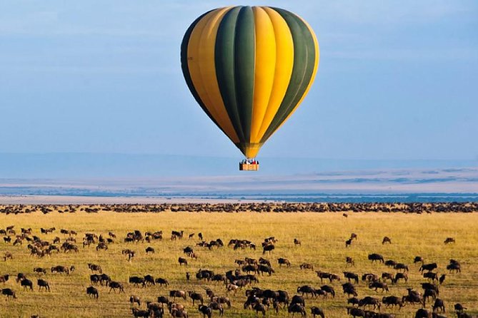 5-Day Ol Pejeta-Lake Nakuru-Masai Mara Private Safari - Accommodation and Meals