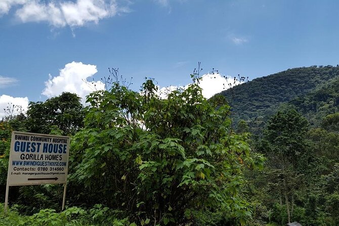 5-Day Private Tour of Kibale and Bwindi Impenetrable National Park - Important Reminders