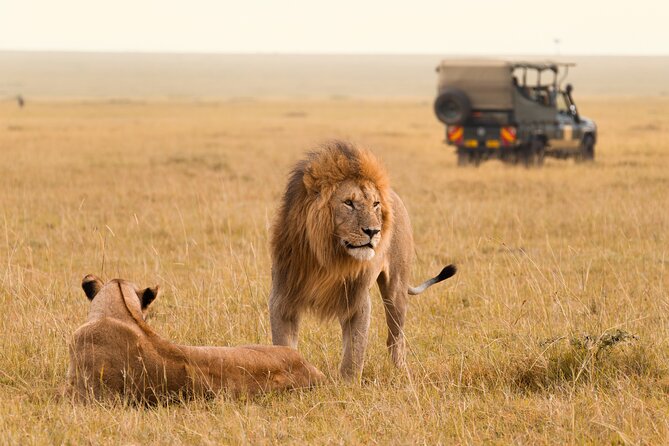 5-Day Safari Tour With Kilimanjaro Day Hiking in Tanzania - Booking Information