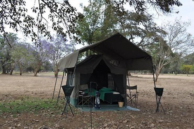 5 Days Camping Budget Safari to Manyara Serengeti and Ngorongoro National Parks - The Sum Up