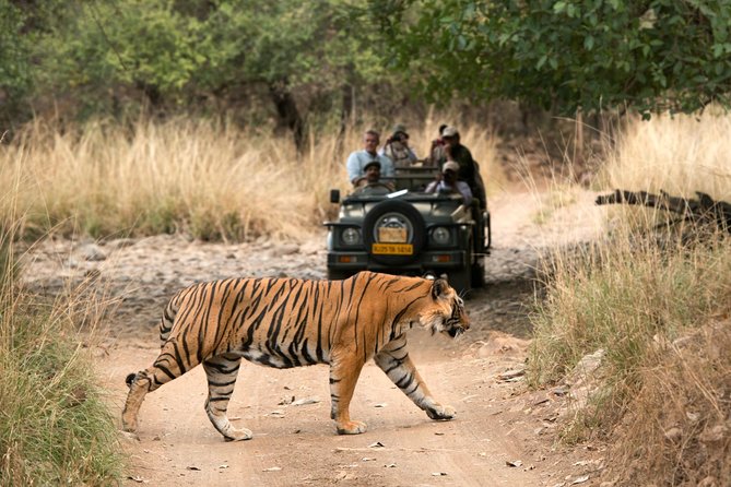 5 Days Golden Triangle With Ranthambore(Tigers and Taj Mahal Sunrise)