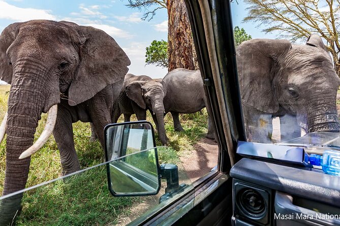 5 Days Masai Mara With Lake Nakuru and Naivasha Tour by 4×4 Jeep