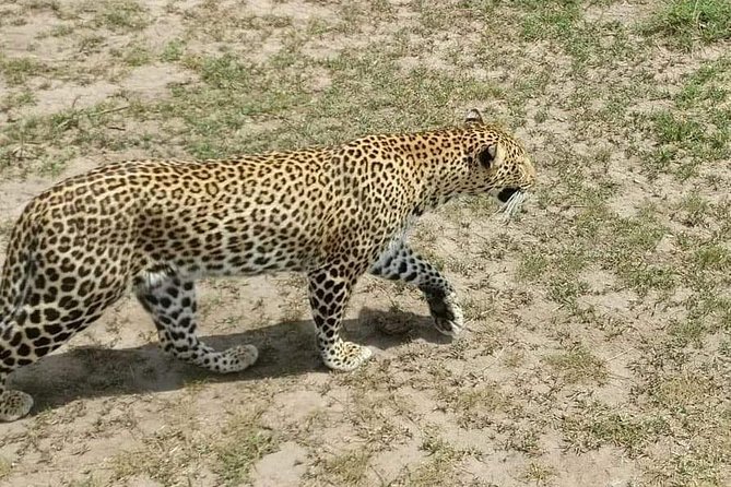 5 Days Olpejeta Conservancy & Solio Rhino Sanctuary - Logistics and Pickup