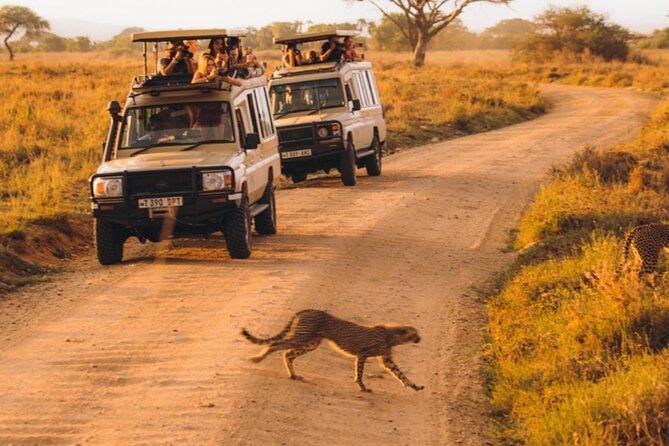 5-Days Private Luxury Safari: Tarangire, Serengeti & Ngorongoro - Cancellation Policy