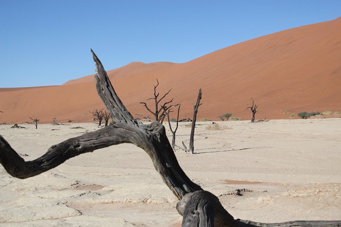 6 Day Sossusvlei to Swakopmund Self-Drive Tour (B&B & Camping) - Tips for a Successful Tour