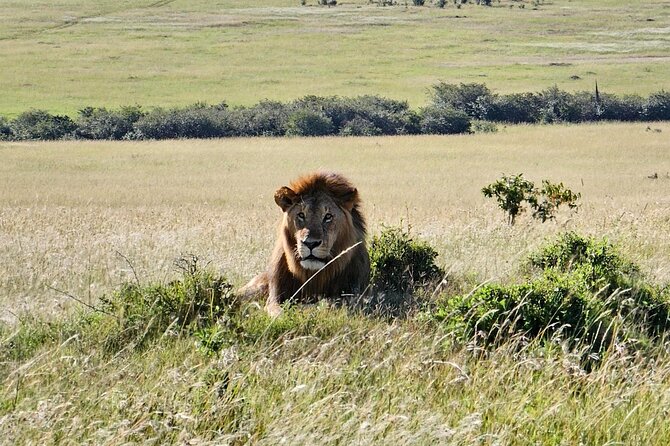 6 Days Kenya Masai Mara-Lake Nakuru & Amboseli Budget Safari - Booking Confirmation Process
