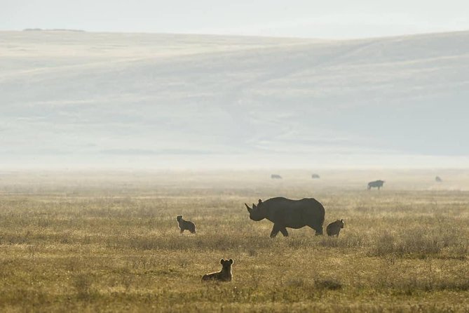 6 Days Lodge Safaris - Additional Information