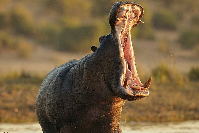 6 Days Private Tour With Two National Parks and More - Booking Confirmation Process