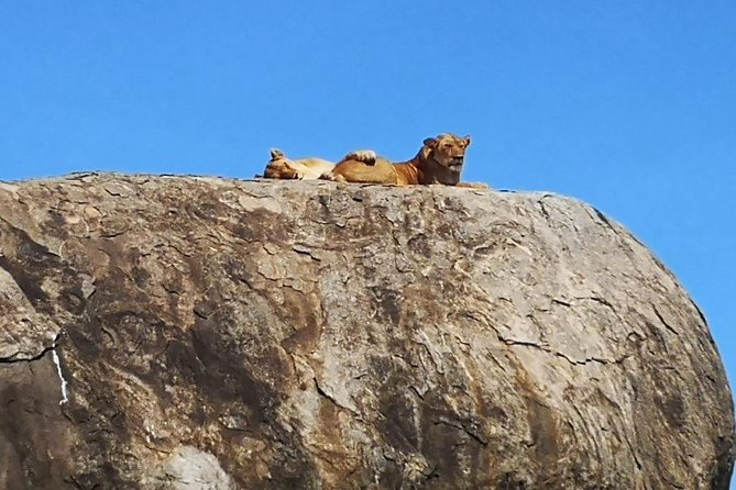 6 Days Safari Lake Manyara, Serengeti, Ngorongoro Crater