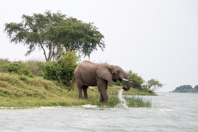 6 Days Savannah Wildlife &Primates Safari Trip. - Booking and Cancellation FAQs