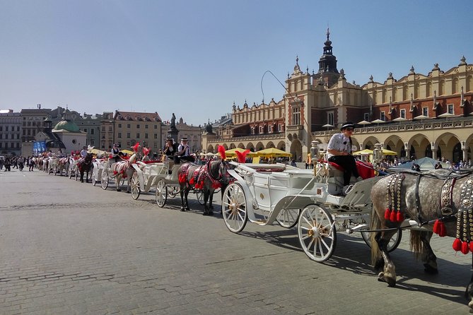 7-Day Krakow and Zakopane Private Tour - Transport and Transfers