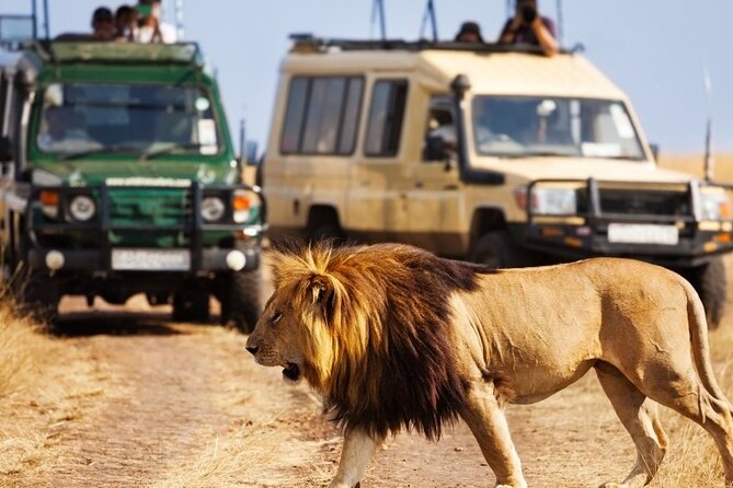 7 Days Masai Mara and Diani Beach Flying Luxury Safari - High End - Gourmet Dining Experiences
