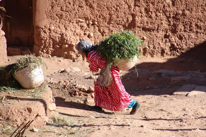 7 Days Private Tour From Casablanca: the Big Kasbah Explorer - Excluded Expenses