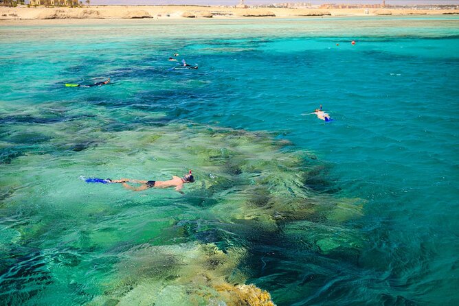 7 Hour Marsa Mubarak Snorkeling Trip With One Intro Dive - Marsa - Tips for an Enjoyable Trip