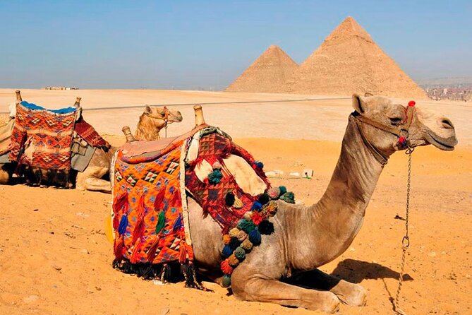 7-Hour Private Guided Tour Cairo and Giza - Frequently Asked Questions