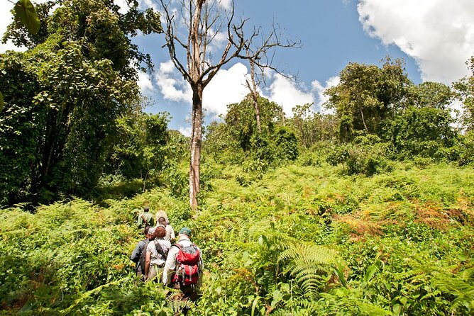 8 Day: Katavi N.P and Mahale Mountains National Park