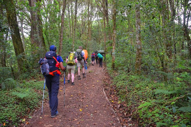 8-Day Mount Kilimanjaro Hiking Tour From Arusha - Cancellation Policy