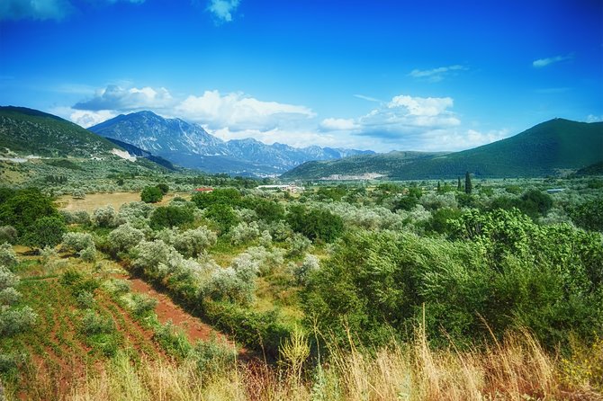 8 Days Go Local - Highlights of Greece From Athens - The Sum Up