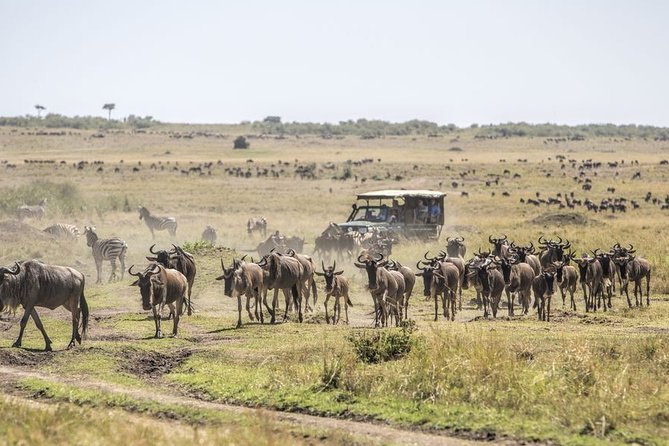 8 Days Masai Mara & Zanzibar Honeymoon Package - Additional Services Available