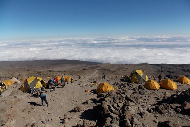 8 Days Mount Kilimanjaro Climbing- Machame Route - Booking and Cancellation Policy