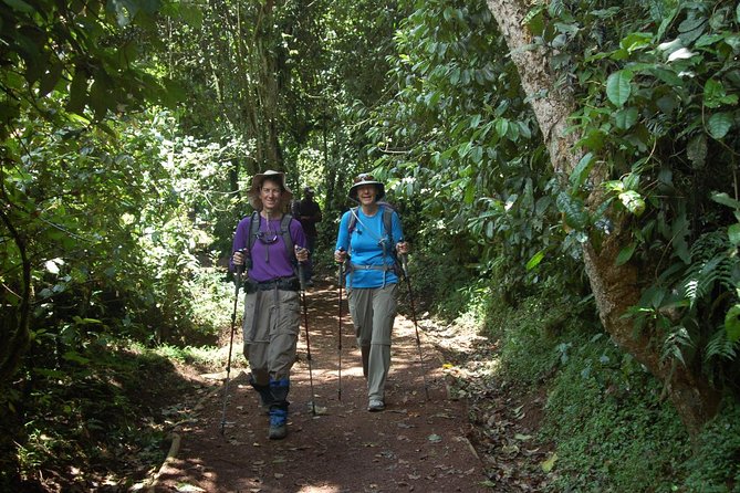 8 Days Mount Kilimanjaro Lemosho Route Climb - Day 7: Barafu Camp to Uhuru Peak