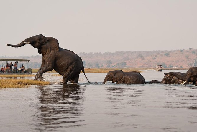 9-Day and 8-Night Zimbabwe Safari Plus Chobe Day Trip to Botswana - Important Booking Information