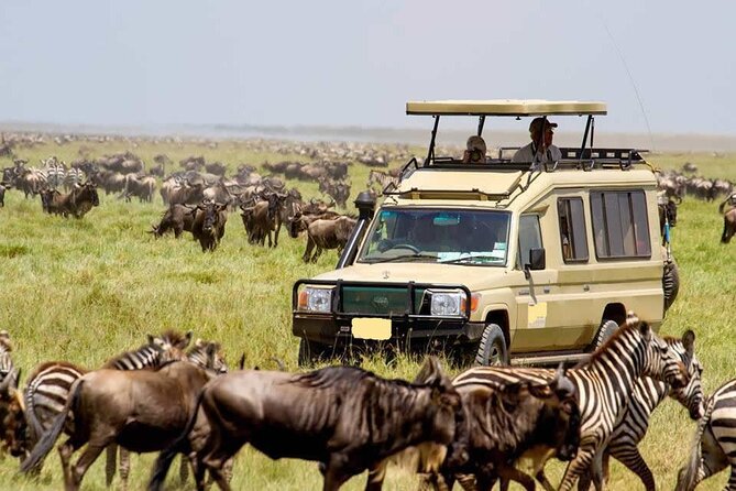 9 Days Best of Kenya Wildlife Safari on a 4WD - Accessibility Features
