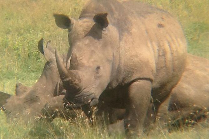 9 Days Rhino Safari - Traveler Requirements