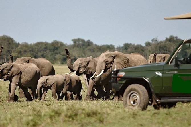 Aberdares National Park Luxury Lodge Safari 2days 1 Night Tour - Cancellation Policy