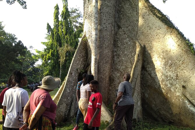Aburi Gardens Transfers - Pickup Information