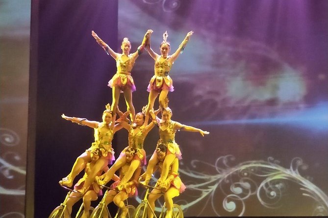 Acrobatics Show With Private Driver Service Include Hotel Pick-Up and Drop-Off - Benefits of Private Driver Service