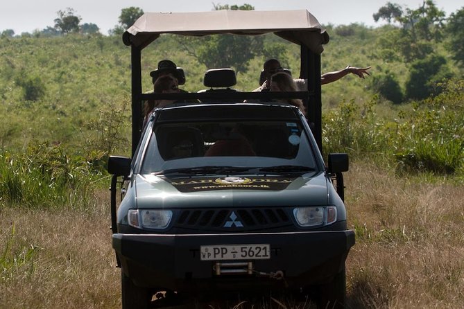 Afternoon Safari to Bundala National Park