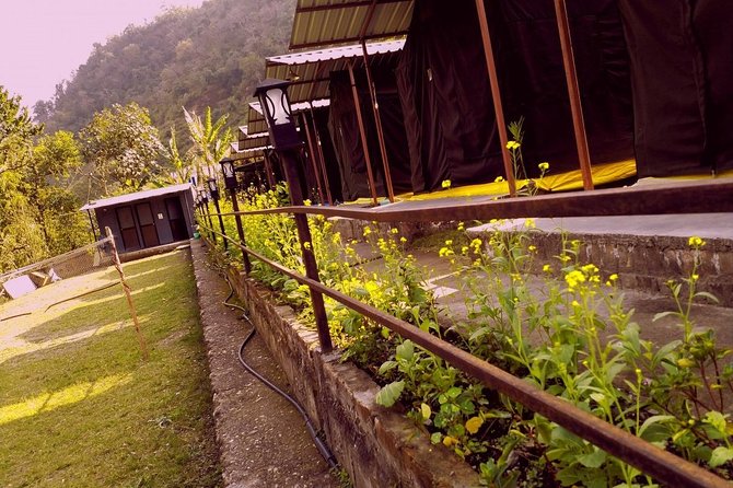 Air-Cooled Camp and Rafting in Rishikesh (2n3d)