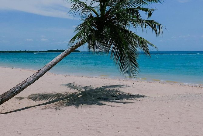 Airport Transfer (CMB) to Pasikuda Hotels (Arrival) - Private Tour/Activity Information