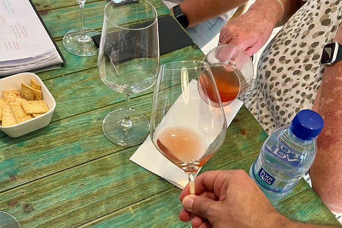 Alicante: Tasting of Natural, Biodynamic Wines and Pairing. - The Sum Up