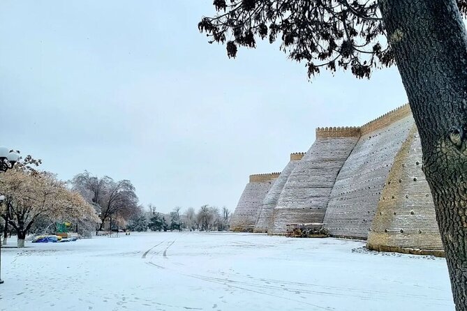 All in One Day Tour of Bukhara From Tashkent - Booking Information