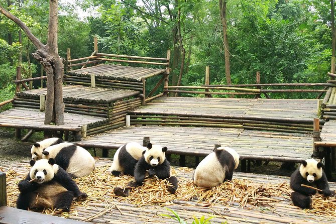 All Inclusive Customizable Chengdu Full Day Panda Tour - Booking Details
