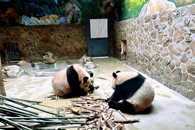 All-Inclusive Xian Panda and Terracotta Warriors Layover Tour With Lunch - Frequently Asked Questions