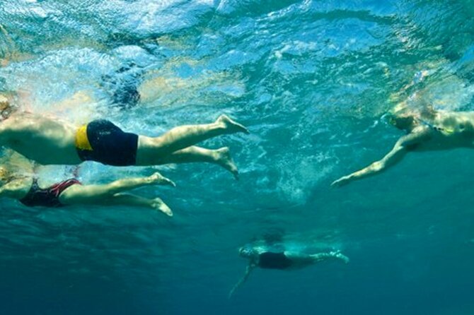 Amalfi Coast Swim Experience With Lifeguard - Directions and Accessibililty