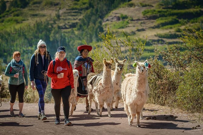 Amazing Sacred Valley Tour In Cusco - Private Experience!! - Pickup and Drop-off