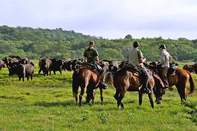 Arusha National Park ( Day Trip ) - Pricing and Cancellation Policy