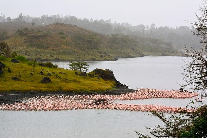 Arusha National Park Guided Tour From Arusha - Expectations