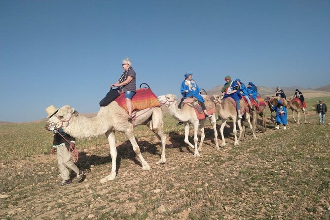Atlas Mountain Agafay Desert & Camel Raid - Frequently Asked Questions