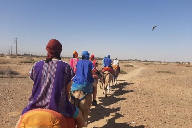 Atlas Mountains, Berber Villages, Live Like a Local: Private Tour From Marrakech - Operator Overview