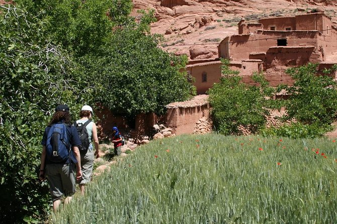 Atlas Mountains & Three Valleys, Camel Ride, Waterfalls, Day Trip Marrakech - Accessibility Information