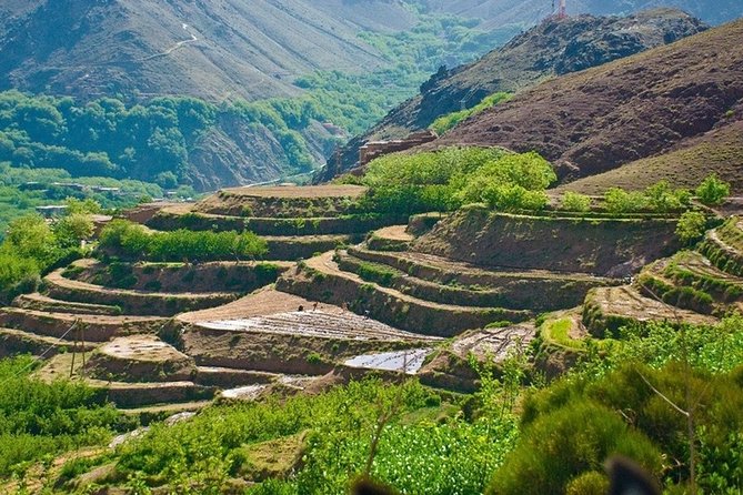 Atlas Mountains & Three Valleys With Camel Ride - Customer Reviews