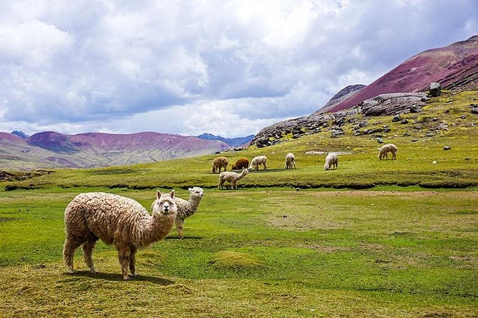 Ausangate Trek to Rainbow Mountains 4 Days - Private Service - Pricing and Payment Options