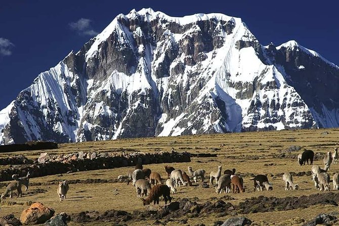 Ausangate Trek - Additional Information